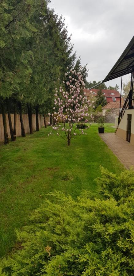 Mimi Apartment Nyíregyháza Exterior foto